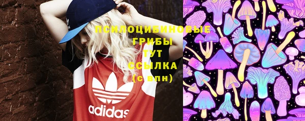 скорость Абаза