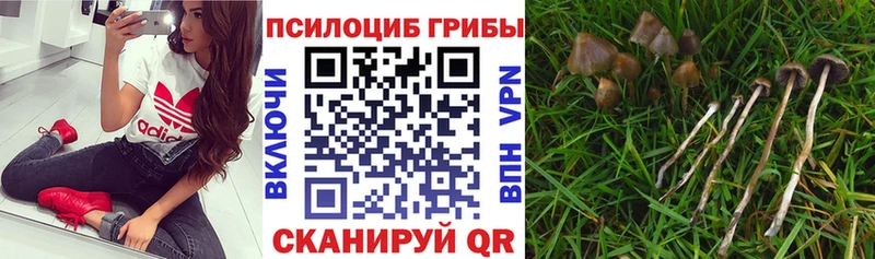 Псилоцибиновые грибы ЛСД где купить наркотик Смоленск