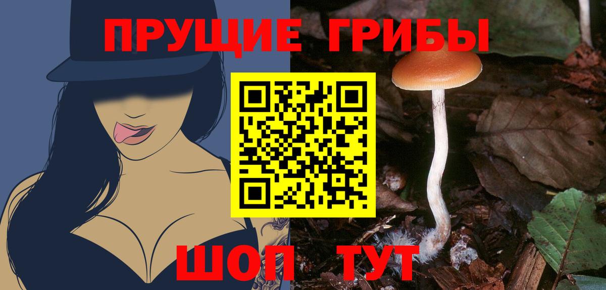 Галлюциногенные грибы Psilocybine cubensis  Галлюциногенные грибы Psilocybe  Вход с VPN  Смоленск 